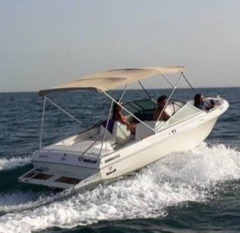 
								WELLCRAFT SPORTSMAN 180 full									