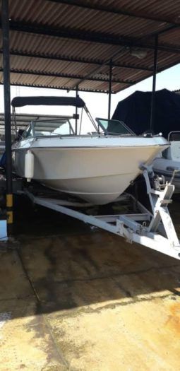 
										WELLCRAFT SPORTSMAN 180 full									