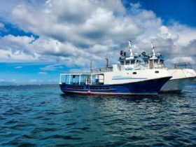 BUQUE DE PESCA ASTULLA 16.60MTRS