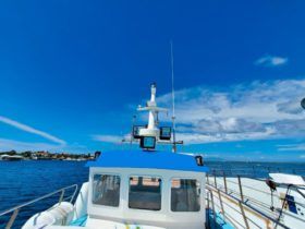 BUQUE DE PESCA ASTULLA 16.60MTRS