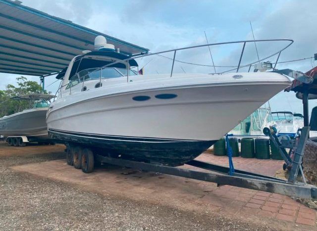 
								SEA RAY SUNDANCER 34 full									