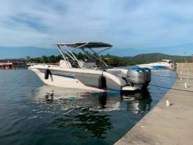 PROMARINE OPEN 26CC 26