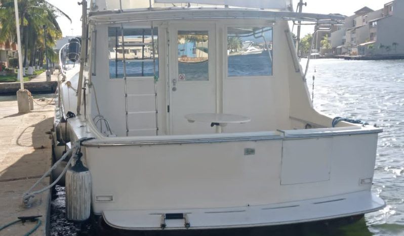 HATTERAS CONVERTIBLE 42 full
