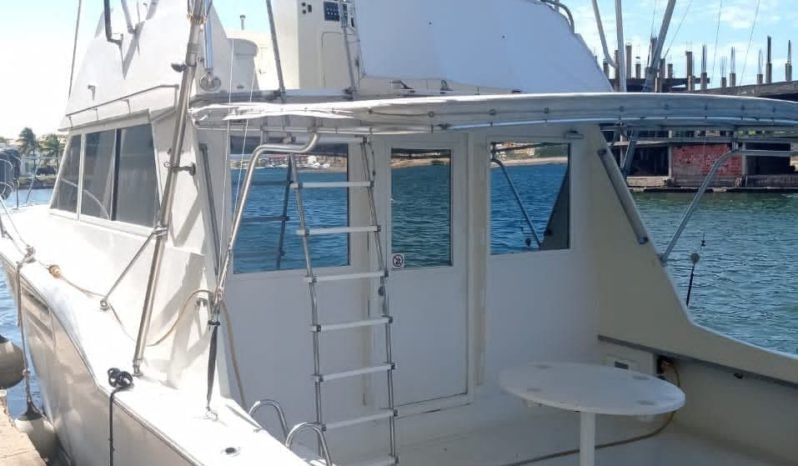HATTERAS CONVERTIBLE 42 full