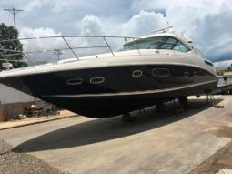 
										SEA RAY SUNDANCER 47 full									