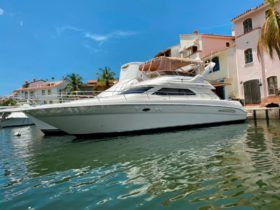 SEA RAY 45