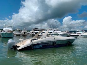 PROMARINE SRS 38