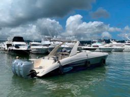 
										PROMARINE SRS 38 full									