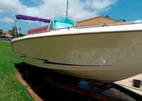 CORALINE OPEN 24