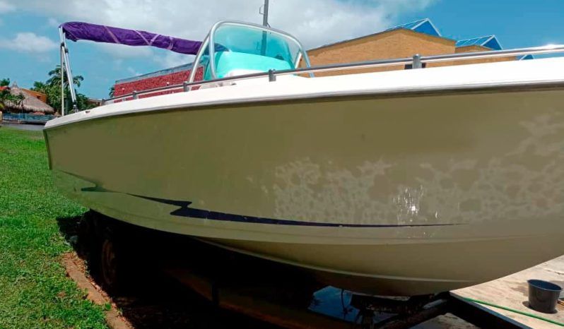 
								CORALINE OPEN 24 full									