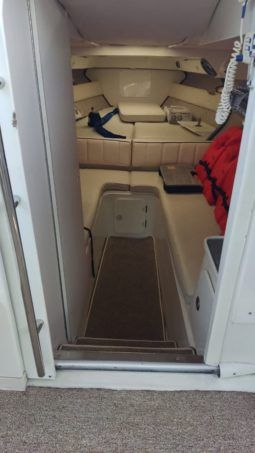 
										INTERMARINE AVANTI SPORT 35 full									