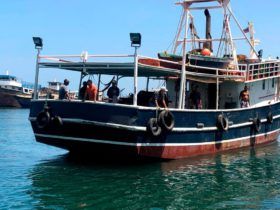 BARCO PESQUERO ACERO NAVAL 21.88 MTS