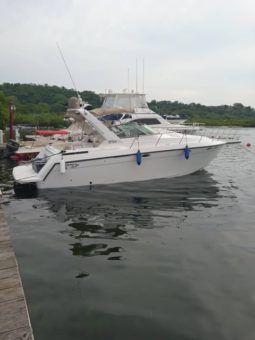 
										FORMULA SPORT 31 full									