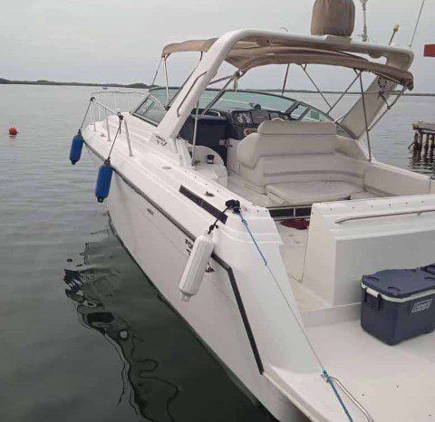 
								FORMULA SPORT 31 full									