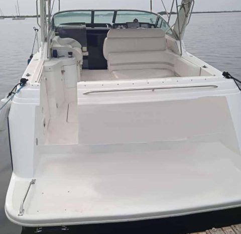 
								FORMULA SPORT 31 full									