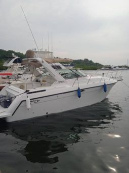 
										FORMULA SPORT 31 full									