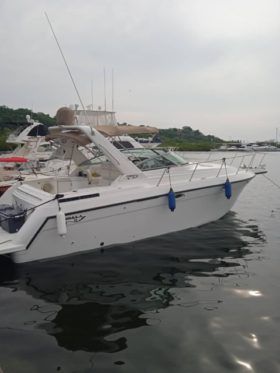 FORMULA SPORT 31