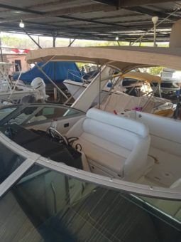 
										FORMULA SPORT 31 full									