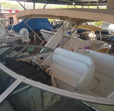 
								FORMULA SPORT 31 full									