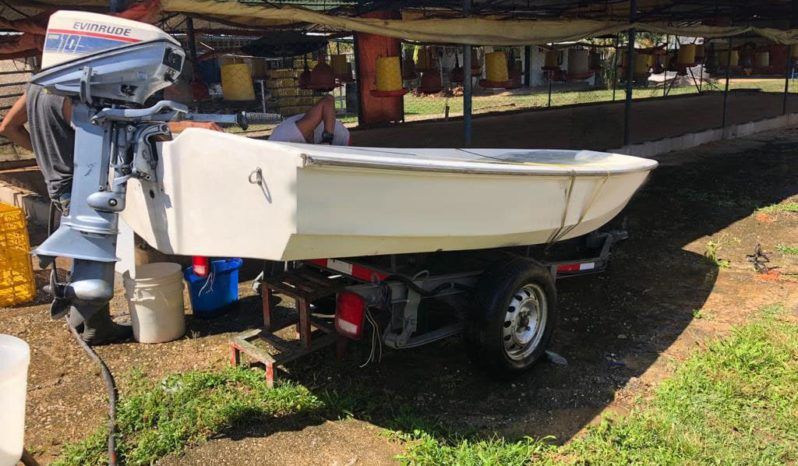 
								BOSTON WHALER REPLICA 11 full									