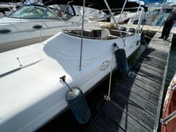 
										INTERMARINE AVANTI 35 full									