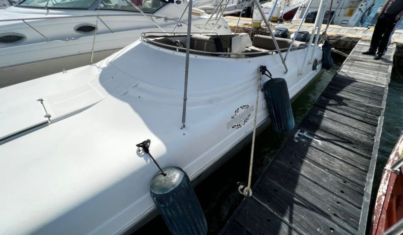 
								INTERMARINE AVANTI 35 full									