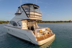
										SEA RAY SEDAN BRIDGE 45 full									