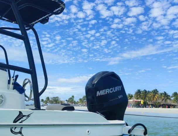 
								RUBHER MARINE 22 full									