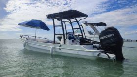 RUBHER MARINE 22