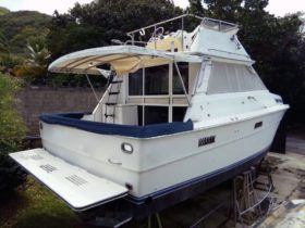 SEA RAY SPORTFISHERMAN CONVERTIBLE 36
