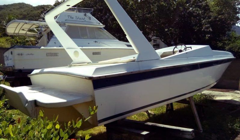 
								COPPOLA OFF SHORE 33 full									