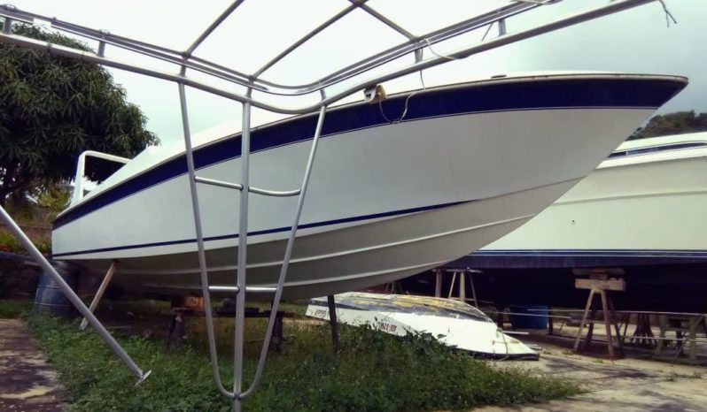 
								COPPOLA OFF SHORE 33 full									