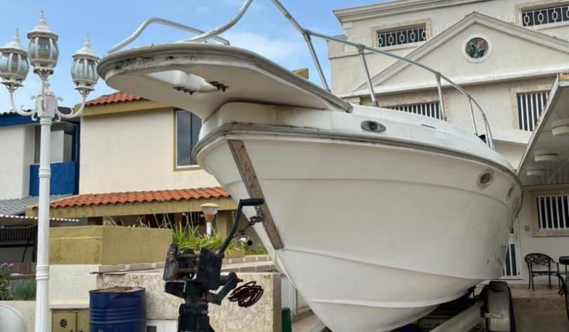 
								INTERMARINE 33 full									