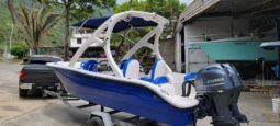 BLUE ARROW 20 full