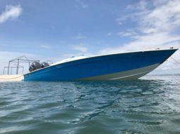 
										COMMANDER 24 full									