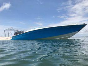 COMMANDER 24
