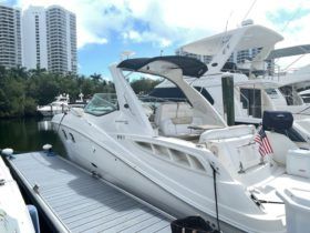 SEA RAY SUNDANCER 310 33