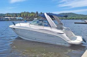 MONTEREY SPORT CRUISER 290