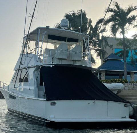 
								VIKING SPORT FISHERMAN 50 full									