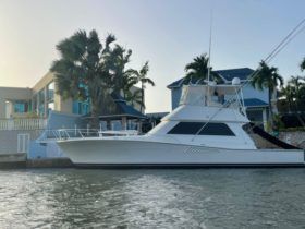 VIKING SPORT FISHERMAN 50
