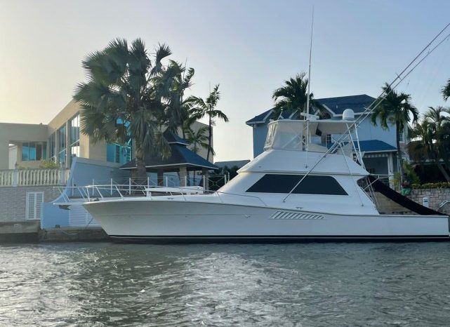 
								VIKING SPORT FISHERMAN 50 full									