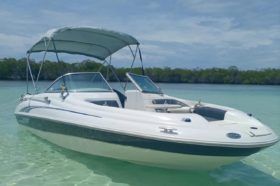 SEA RAY 20