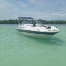 SEA RAY 20