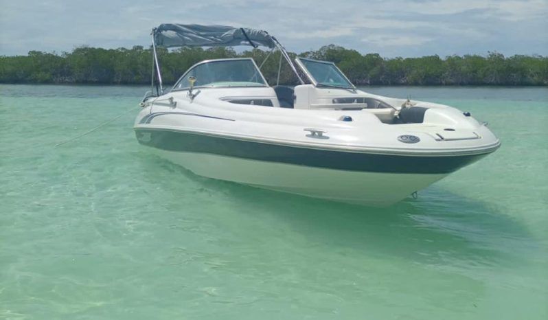 SEA RAY 20 full