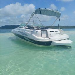 SEA RAY 20 full