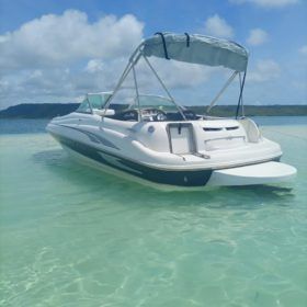 SEA RAY 20