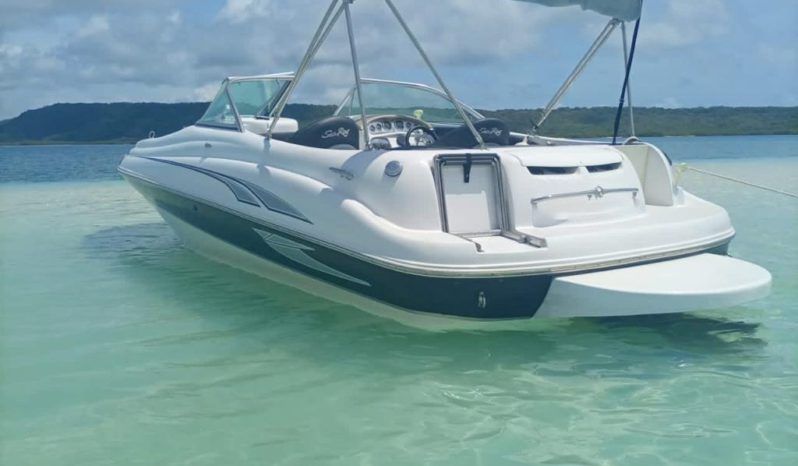 SEA RAY 20 full