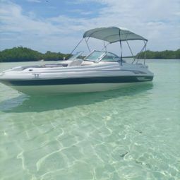SEA RAY 20 full