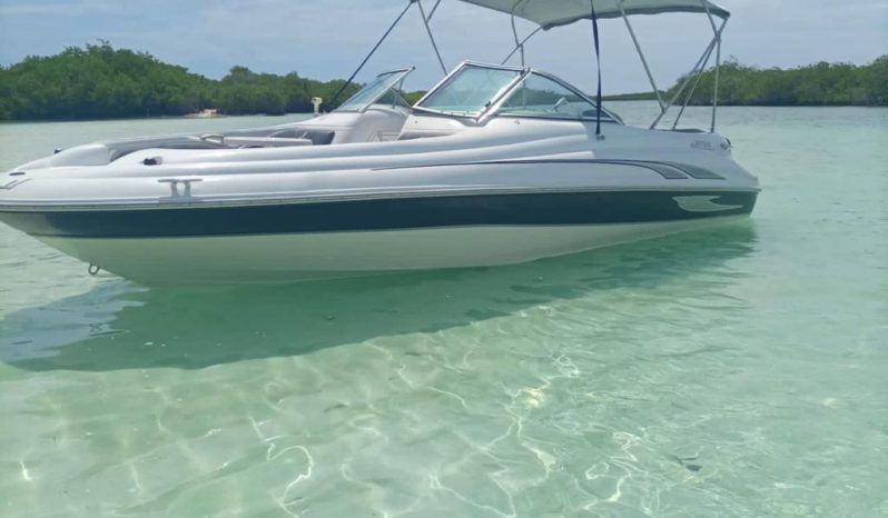 SEA RAY 20 full