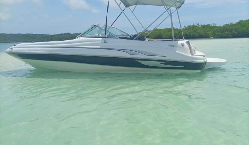 SEA RAY 20 full